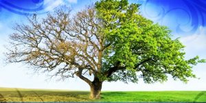 积极心理学理论