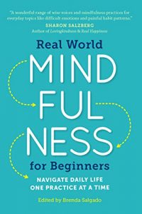 正念初学者书籍 正念初学者