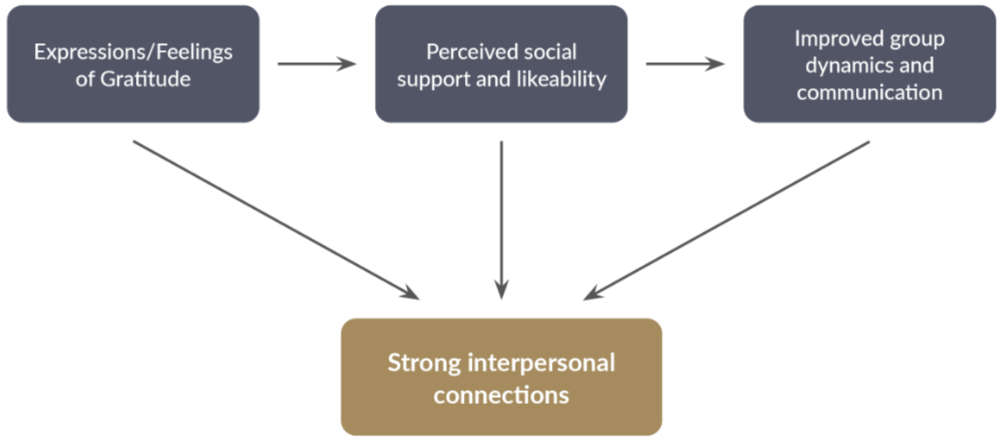 感恩的社会益处