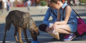 CliftonStrength评估