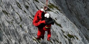 什么是利他主义？