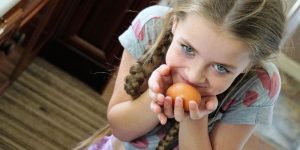 功能性分析的理论 功能性分析的理论