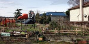 社区园艺 社区园艺