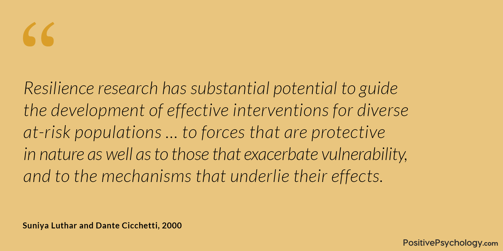 Luthar 和 Cicchetti 名言