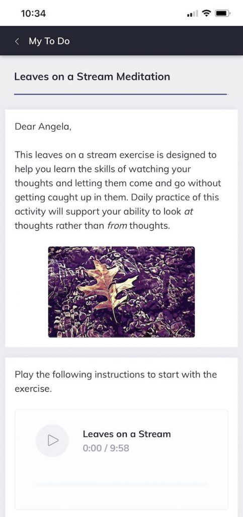 溪流中的叶子冥想 叶子在溪流中