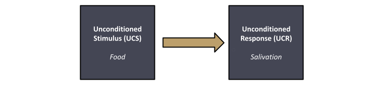 经典条件反射阶段1