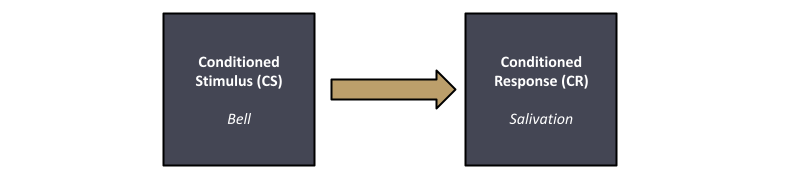 经典条件反射阶段3