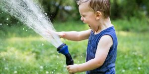 发展心理学模型 发展心理学理论