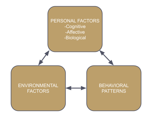 社会认知理论模型