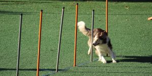 行为疗法的历史