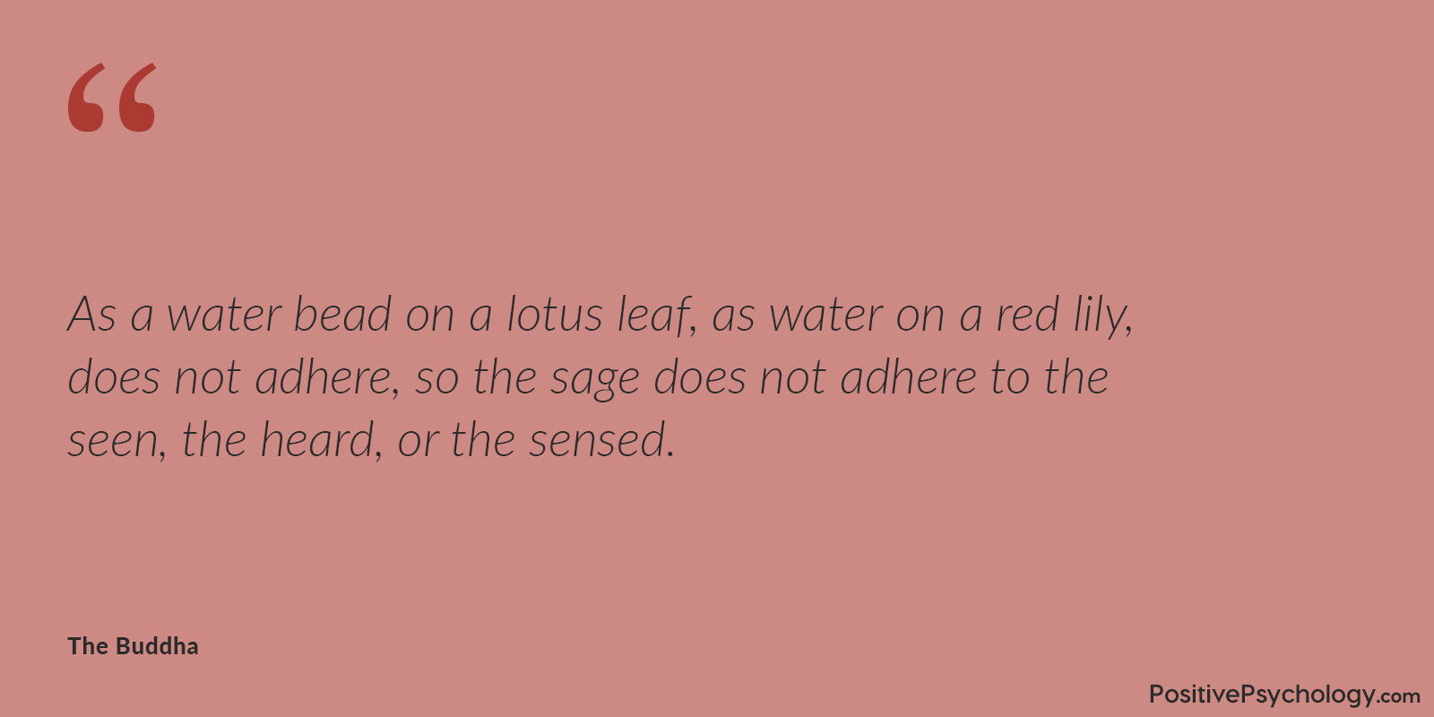 智者不执着于所闻 智者不执着于所见