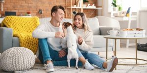 安全依恋的标志