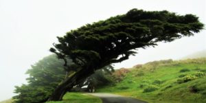 如何测量复原力