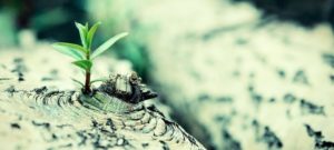 开发毅力和韧性