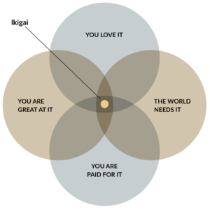 发现你的Ikigai
