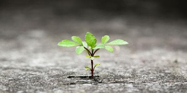 什么是繁荣？定义和历史