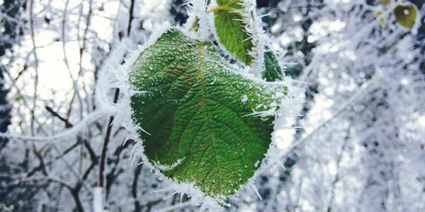 复原力 心理资本 复原力