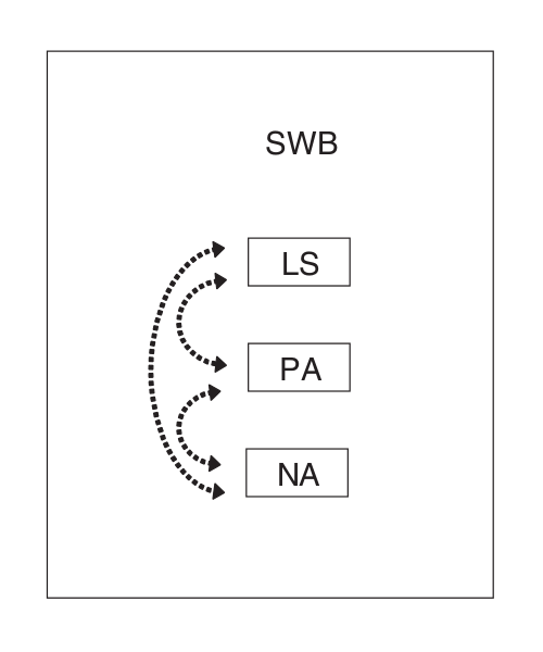 SWB三部分模型