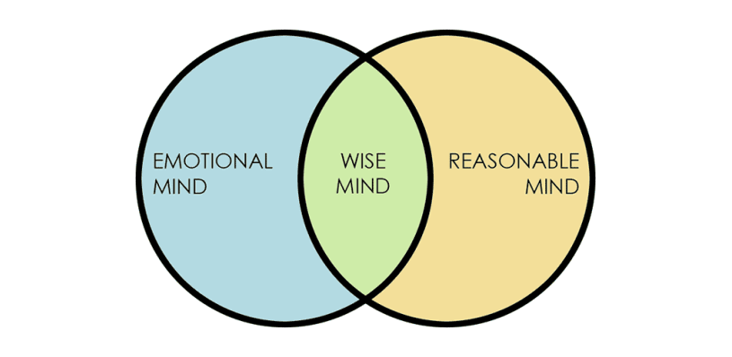 明智心智 心理辩证行为疗法工作表、手册和指南的明智心智