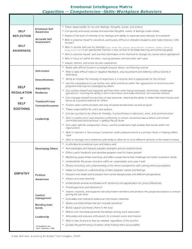 情绪智力能力 情绪智力能力