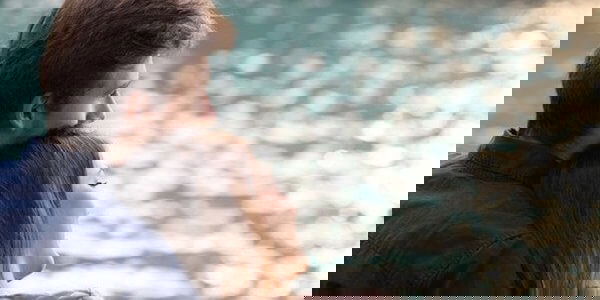 恢复诚实的工作表 恢复诚实的工作表