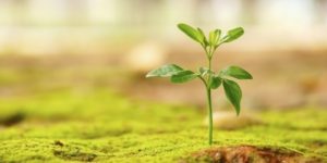 希望复原力练习