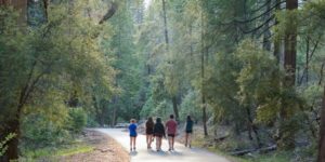 正念行走的团体 正念行走