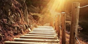 正念技术、练习和干预措施