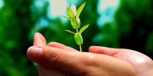 积极心理学辅导与生活辅导的区别