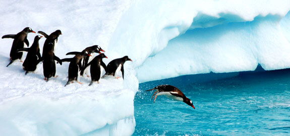 工作中的复原力和领导力