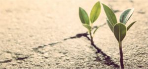 复原力活动和工作表 27 种增强复原力的活动和工作表(附PDF)