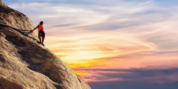 自我决定理论示例