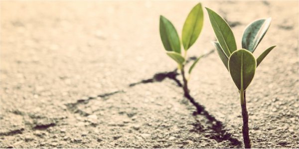 我们能否测试和调查自我效能？