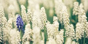 做一件不同的事 焦点解决疗法