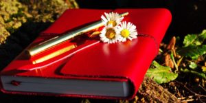 日记工具 正念工具