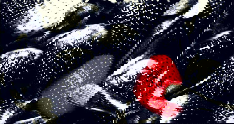 什么是自我决定理论？定义与示例（+PDF）