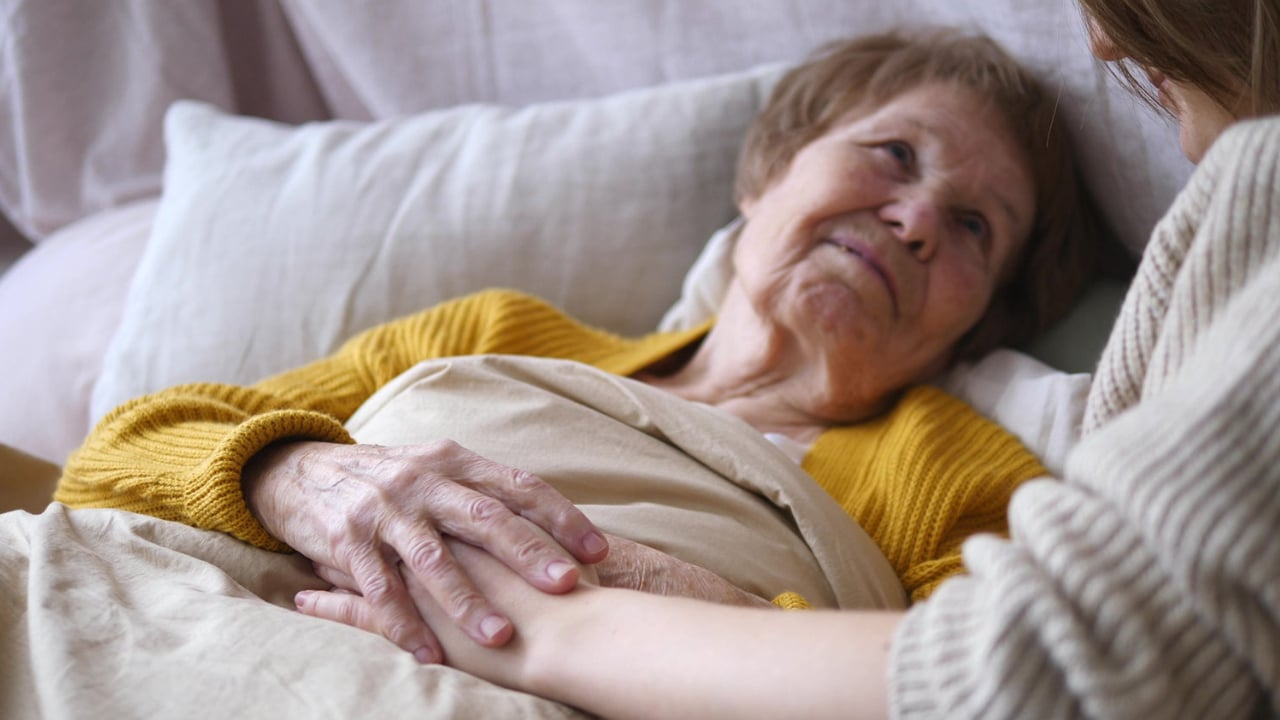 老化的脱离理论 1