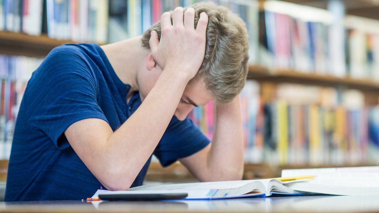 情感调节风格与从学术失败中学习的倾向