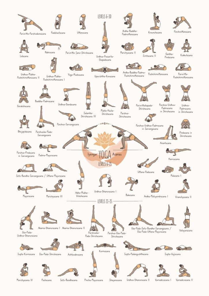 手绘哈他瑜伽姿势及其名称，艾扬格瑜伽体式难度等级6-15