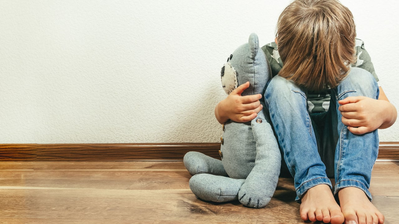 捷克双胞胎案例研究（科卢乔娃，1976）